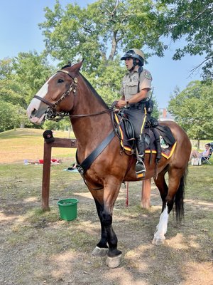 Jamaica Pond Park by null