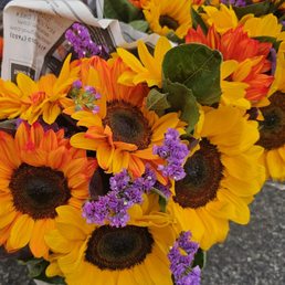Sunflowers