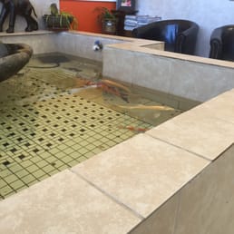 Fancy fish tank