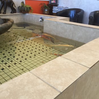Lee Nails - Fancy fish tank - Nail Salons Near Me - New Bern, North Carolina