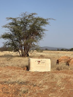 Lion World Travel by null