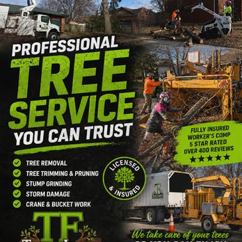T&F Tree & Stump - 417-501-0822
SpringfieldTreeRemoval.com
417-716-8733
417-716-TREE - Tree Services Near Me - Springfield, Missouri T&F Tree & Stump - 417-501-0822
SpringfieldTreeRemoval.com
417-716-8733
417-716-TREE - Tree Services Near Me - Springfield, Missouri