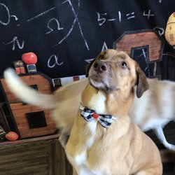 Bark At The Moon - Rhett wanted to pose, Boone wanted a treat