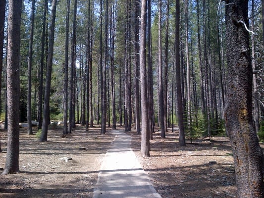 Donner Memorial State Park by null