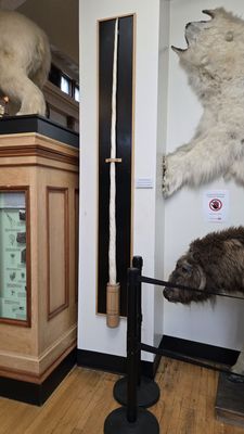 Redpath Museum by null