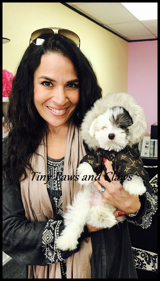 TINY PAWS AND CLAWS Updated August 2024 17 Photos Houston, Texas