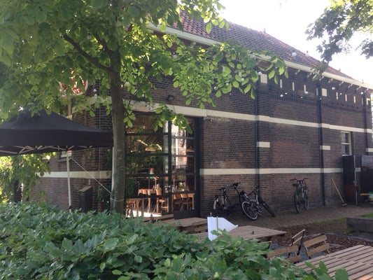 Mossel & Gin by null