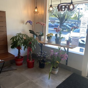 Origami - Sushi Bars Near Me - San Ramon, California