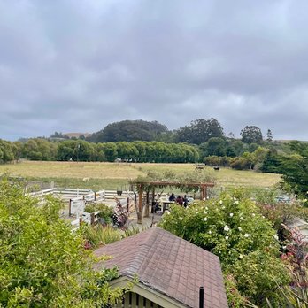 Harley Farms - Cheese Shops Near Me - Pescadero, California Harley Farms - Cheese Shops Near Me - Pescadero, California