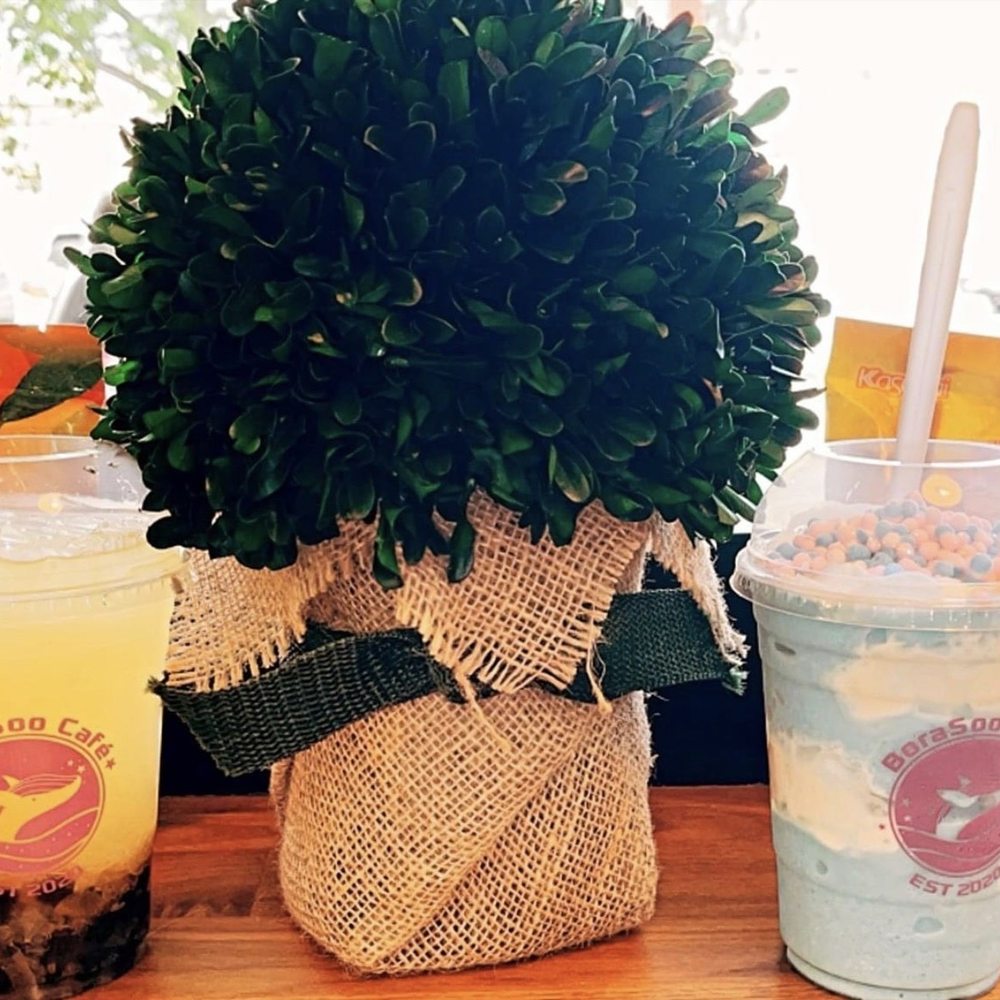 BoraSoo Cafe - Honey Tea (Citron Ginger) and Cloud Yogurt Smoothie - Bubble Tea Near Me - Davie, Florida