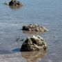 Photo of Long Key State Park