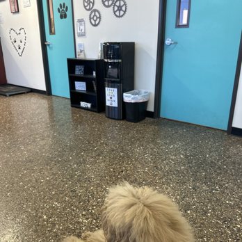 Pet Check Engine Animal Hospital - Veterinarians Near Me - Palmdale, California