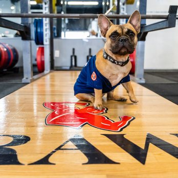 RAW Gym Warzone - RAW Gym Texas - Trainers Near Me - Spring, Texas