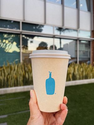 Blue Bottle Coffee by null