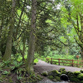 Coal Creek Falls Trail - along the way - Hiking Near Me - Newcastle, Washington Coal Creek Falls Trail - along the way - Hiking Near Me - Newcastle, Washington