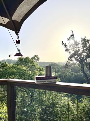 Sinya On Lone Man Creek by null