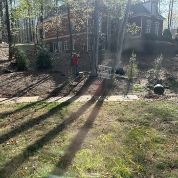 Costeno Tree Services - Taking great care of our property and protecting our lawn - Tree Services Near Me