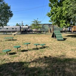 Port Jervis Dog Yard - Training obstacles.