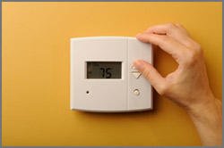 Slide of Taylor & Murphy