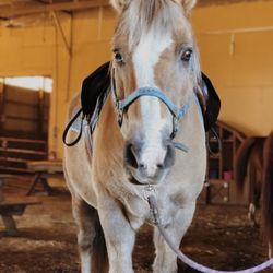 Hell Creek Equestrian Center