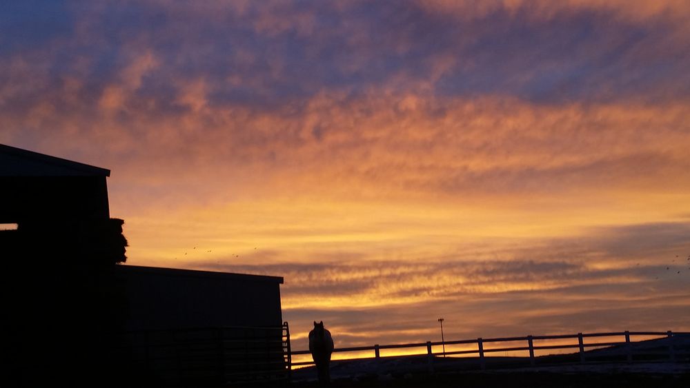 Hidden Valley Ranch - equestrian in Boise, ID