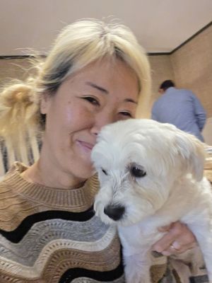 Le Petit Pali Laguna Beach by null