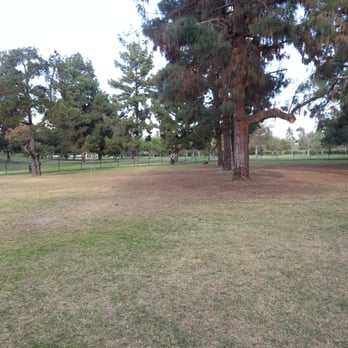 El Dorado Dog Park - in the large dog section - Dog Parks Near Me - Long Beach, California El Dorado Dog Park - in the large dog section - Dog Parks Near Me - Long Beach, California