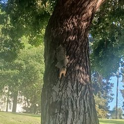 Hollenbeck Park
