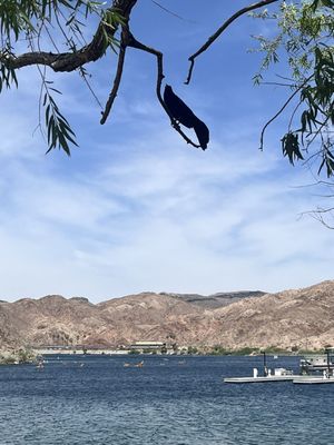 Willow Beach Marina by null