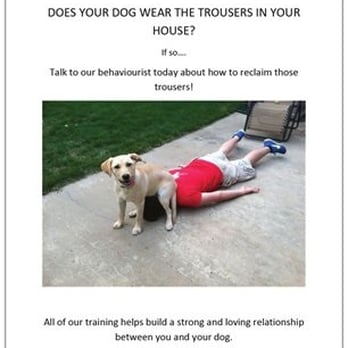 puppy training classes wirral