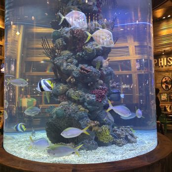 Bass Pro Shop - Aquarium in the restaurant - Guns & Ammo Near Me - Memphis, Tennessee