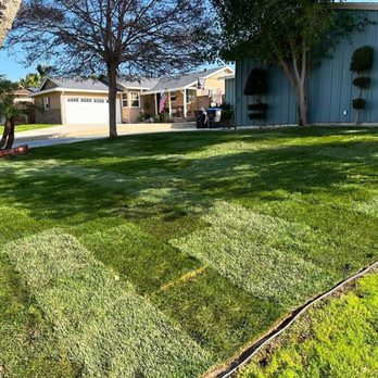 Prolific Landscaping - Landscaping Near Me Prolific Landscaping - Landscaping Near Me