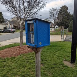 Little Free Library - Little Free Library, 4957 Lifeline Ln, Charlotte