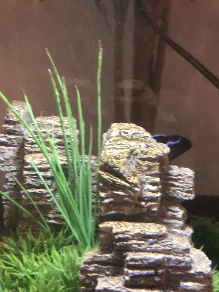 HEALING ARTS HEALTH CENTER Updated June 2024 45 Photos & 94 Reviews