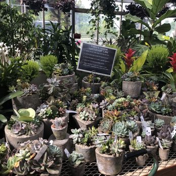 BOYERT’S GREENHOUSE & FARM - Updated January 2026 - 31 Photos & 17