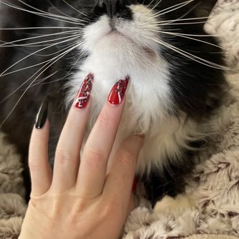 The Nail Collective - Nail Technicians Near Me - Las Vegas, Nevada