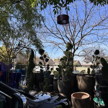 Evergreen Garden Center - Nurseries & Gardening Near Me - Clovis, California Evergreen Garden Center - Nurseries & Gardening Near Me - Clovis, California