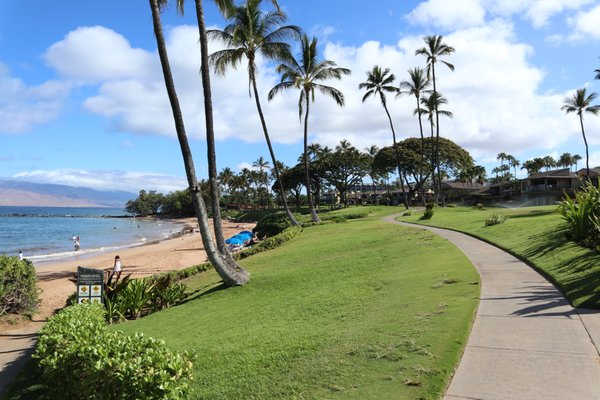 Wailea Beach by null