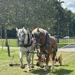 Washington County Fair