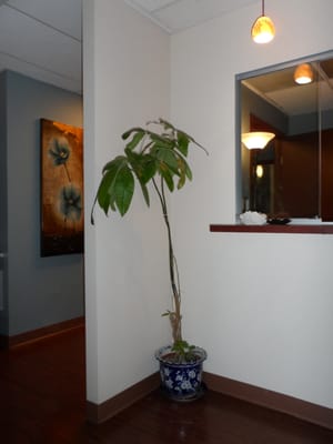 Acupuncture Alexandria - Burke Location