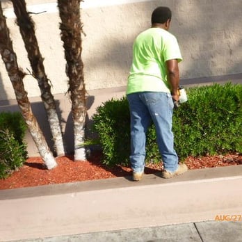Harris Tree Service - Tree Services Near Me Harris Tree Service - Tree Services Near Me