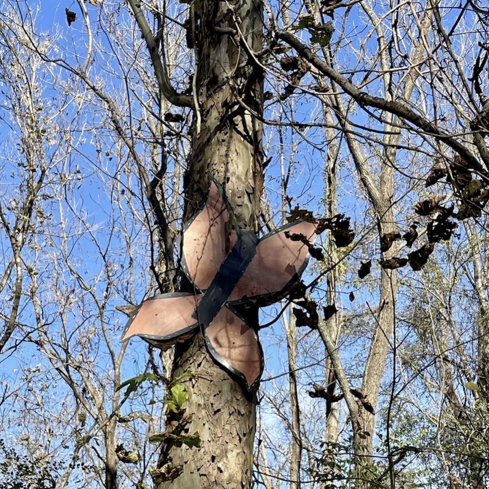 Mill Creek Park - Parks Near Me - Antioch, Tennessee