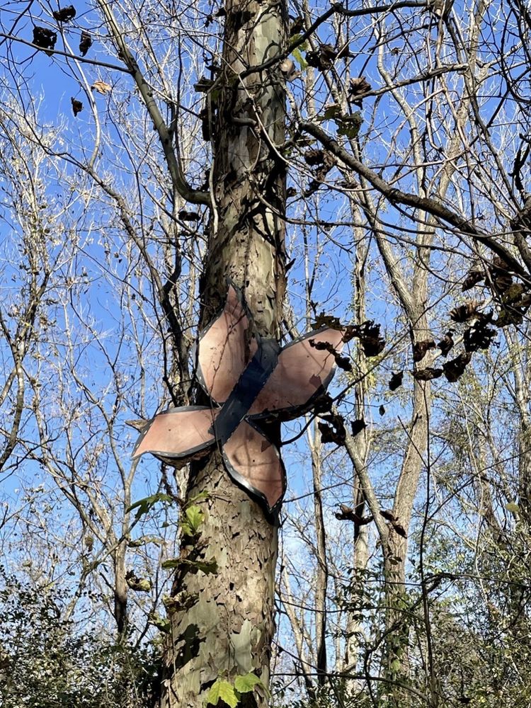 MILL CREEK PARK Updated May 2024 15 Photos 6036 Culbertson Rd