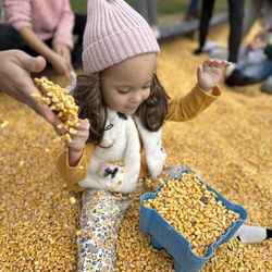 Foster Family Farm - Corn box!