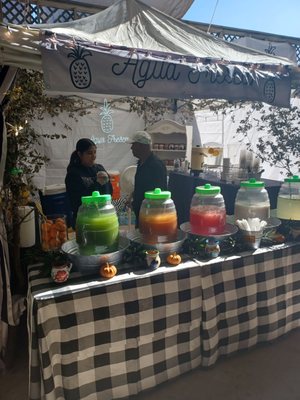 San Antonio Rose Palace