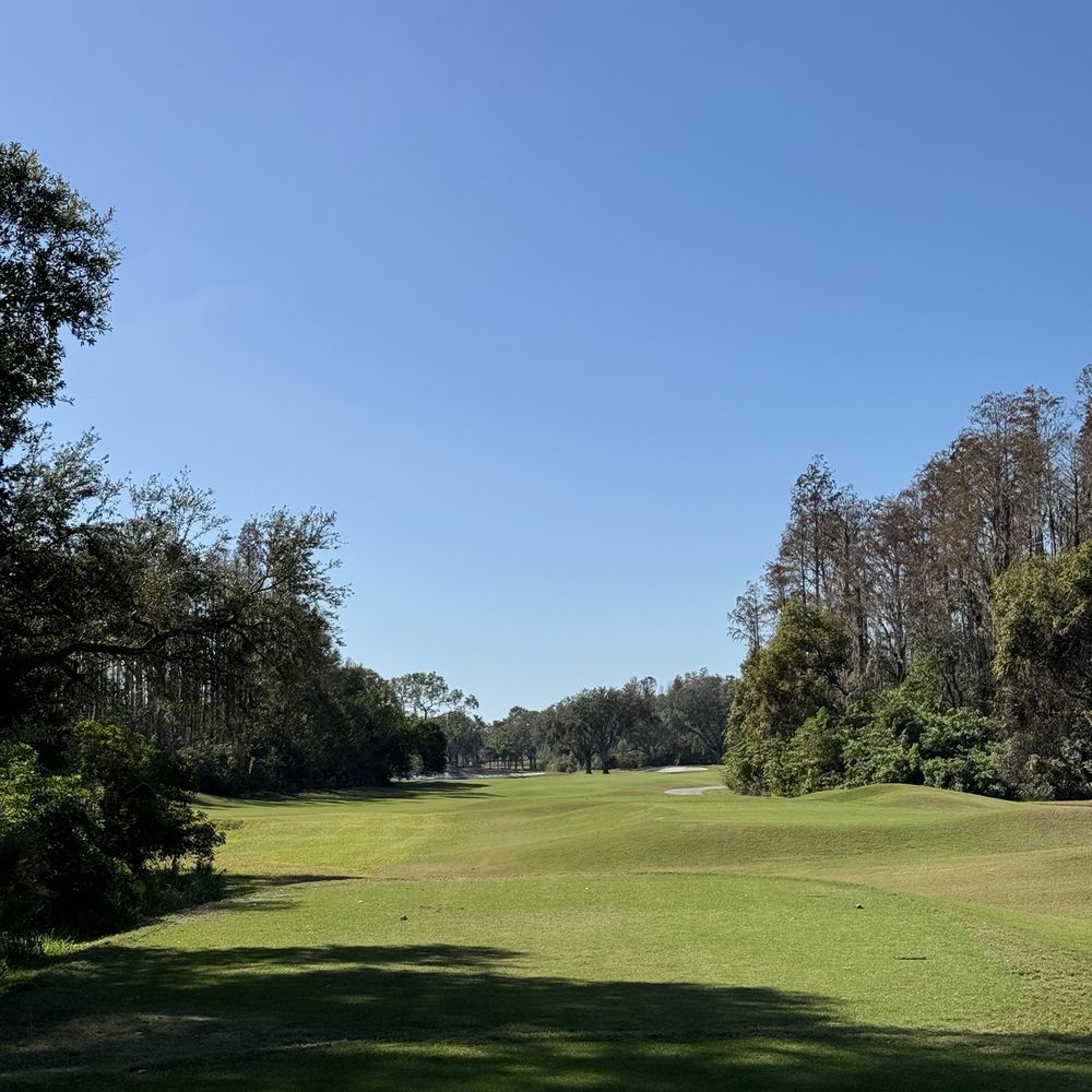 TPC Tampa Bay - Fairway - Golf Near Me - Lutz, Florida TPC Tampa Bay - Fairway - Golf Near Me - Lutz, Florida