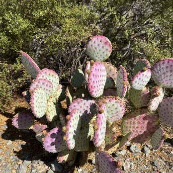 Arizona State University - Colleges & Universities Near Me - Phoenix, Arizona Arizona State University - Colleges & Universities Near Me - Phoenix, Arizona