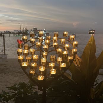 Vallarta Adventures - Tours Near Me - Nuevo Vallarta, NAY