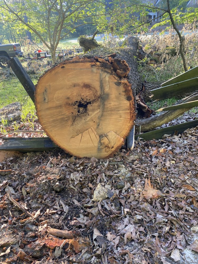 TREES & MORE Rockmart, Tree Services Phone Number Yelp