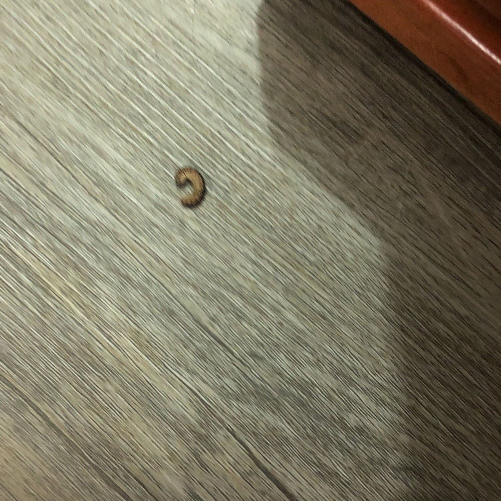 Bedroom floor Bedroom floor